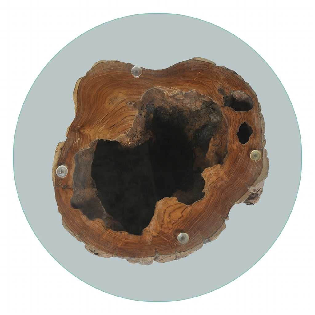 Table basse Teck Verre 50x40 cm - Imagem 7