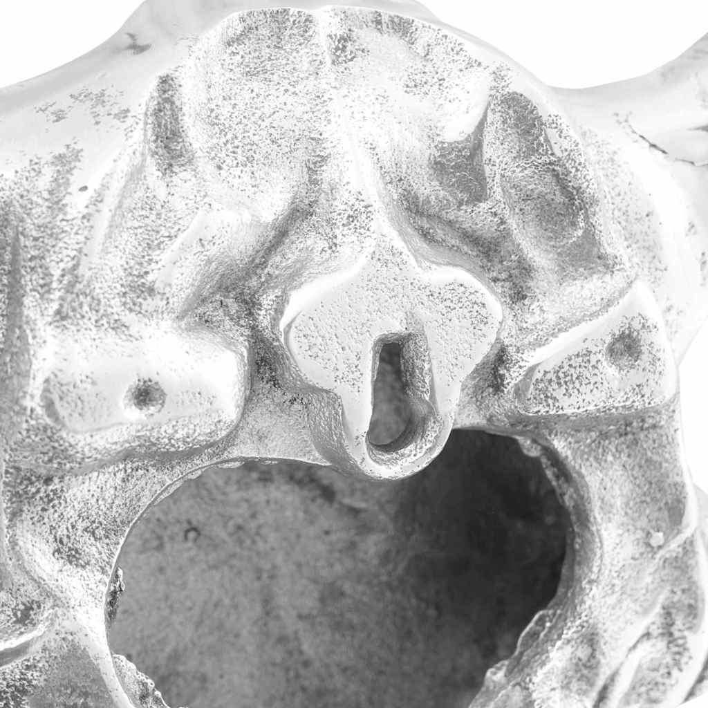 Crâne de taureau Argenté  Aluminium - Imagem 16